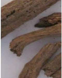 Kushta Roots Pushkar Mool Saussurea Luppa