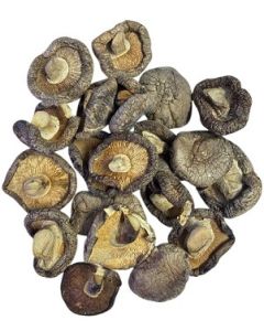 Shiitake Mushroom