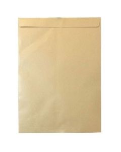 Brown Envelop