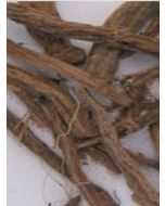 Irani Akarkara Roots Anacyclus Pyrethrum