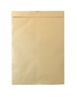 Brown Envelop