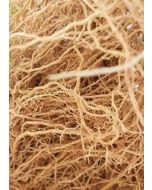 Khus Roots Ramacham Vetiver 